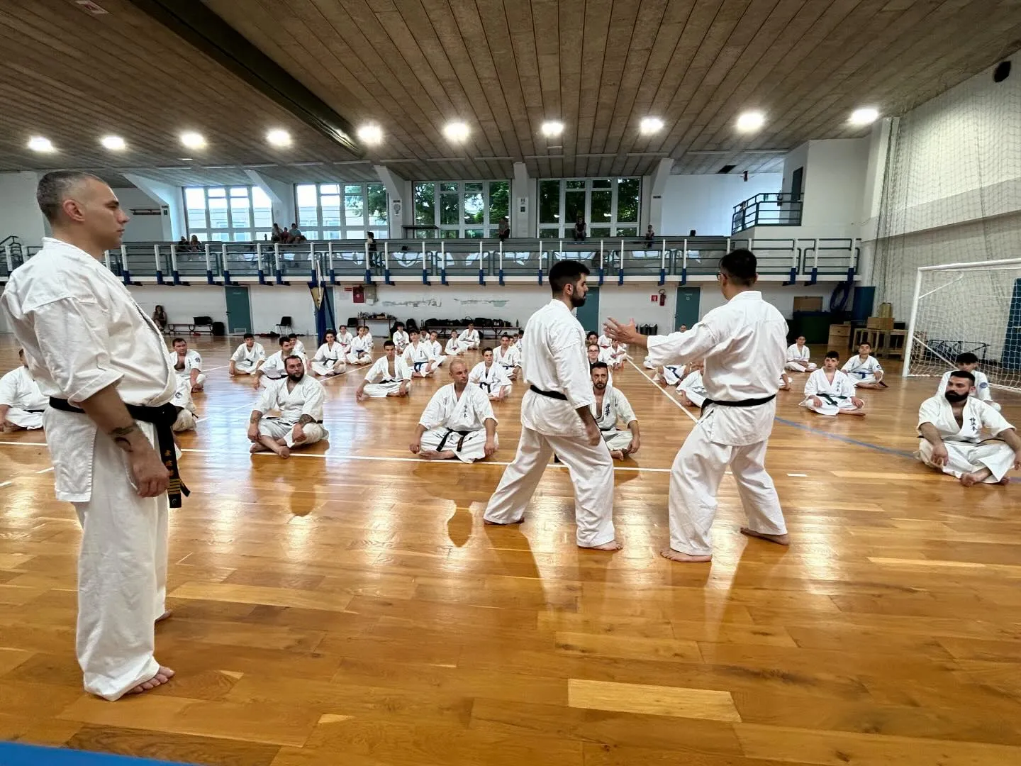 極真拳武會イタリア支部🇮🇹セミナー