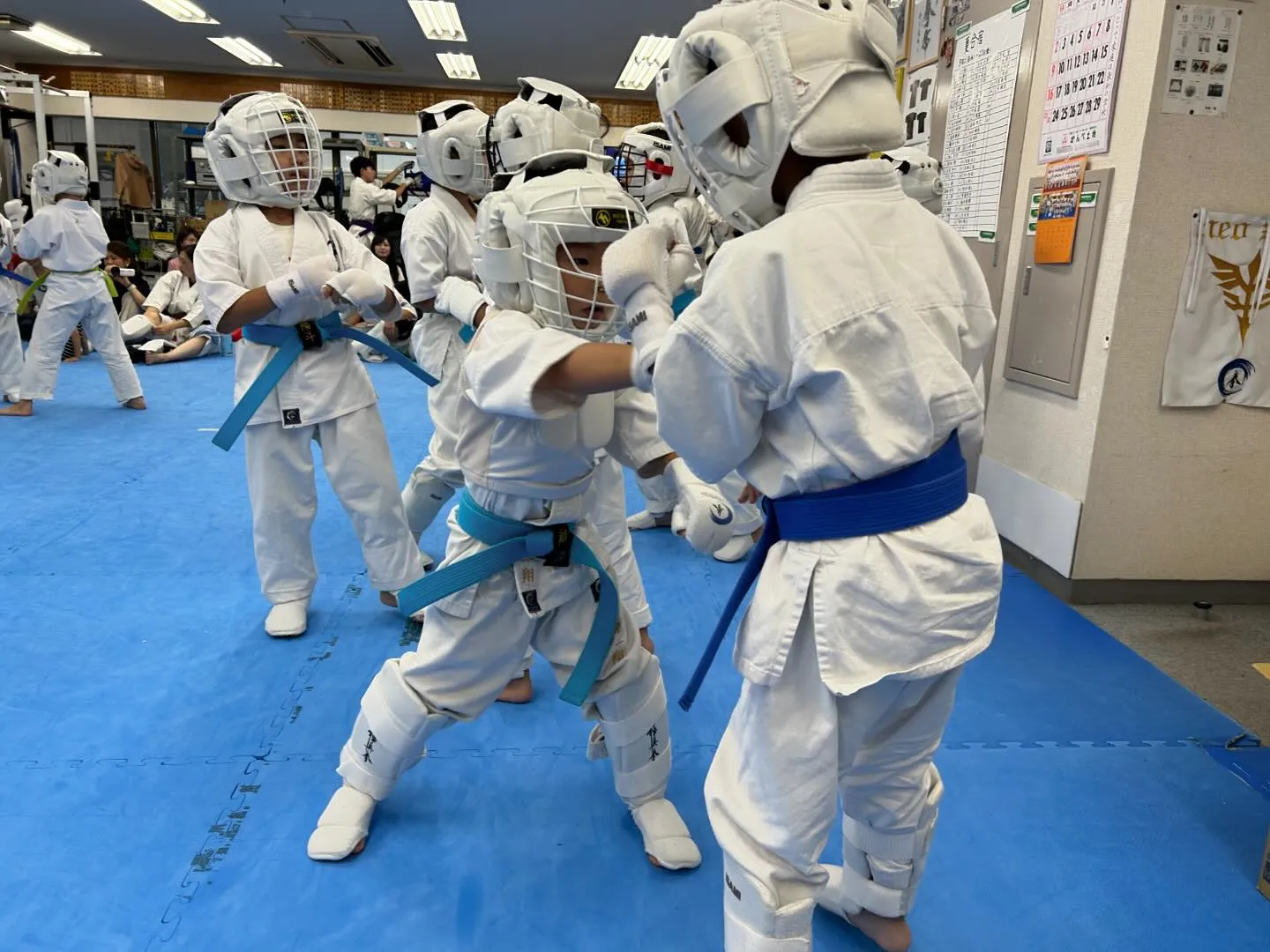 極真拳武會本部、千鳥有明支部合同審査会第二部の少年部