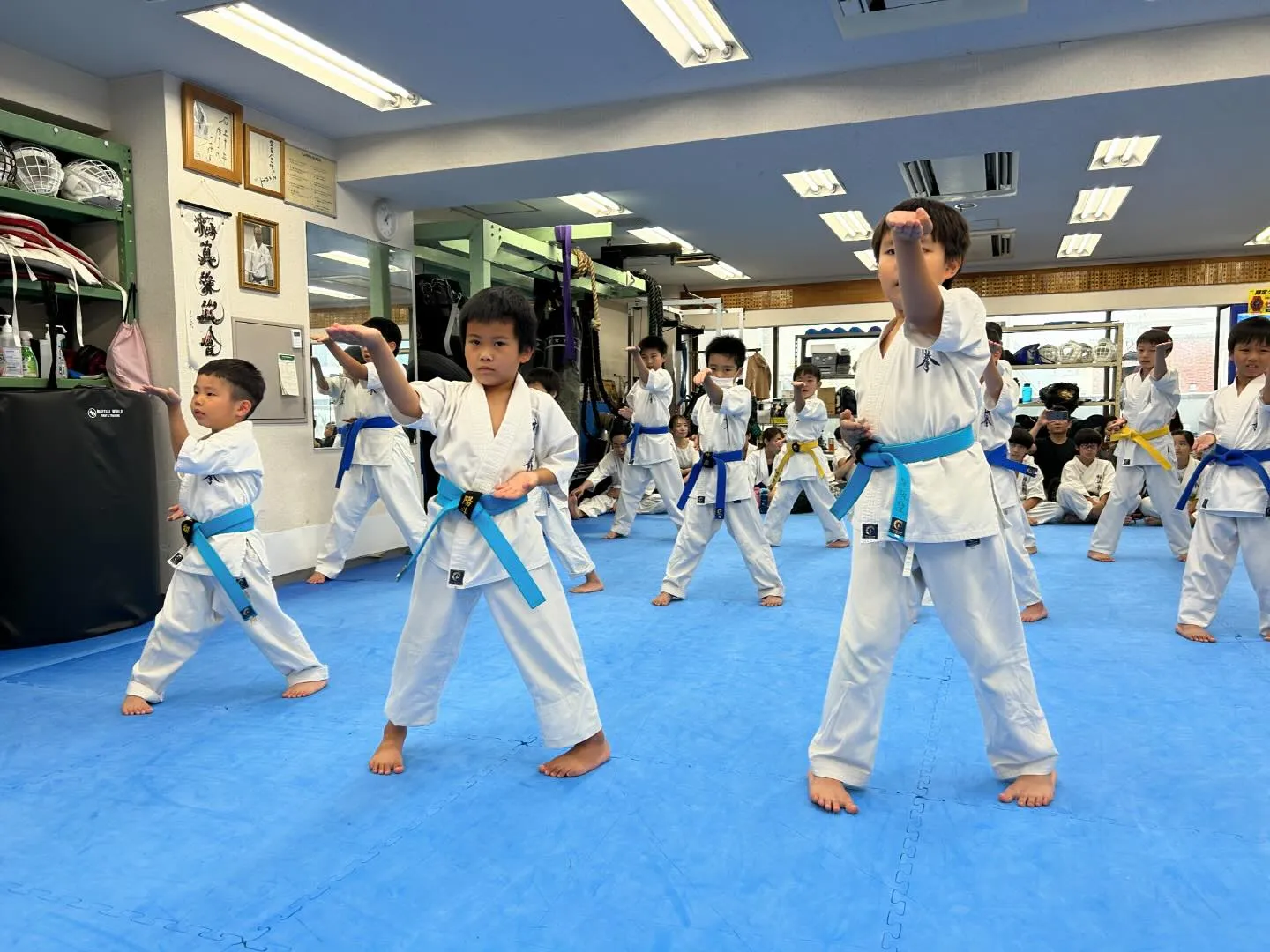 極真拳武會本部、千鳥有明支部合同審査会第二部の少年部